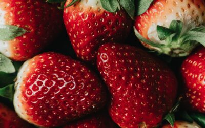 Alimentos Funcionais – Morango
